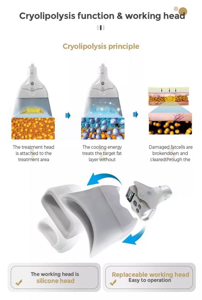 Лучшая процедура криолиполиза для постоянного уничтожения жировых клеток