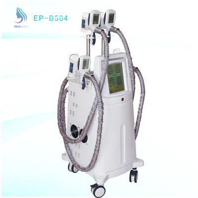 4 Cryo handles Work Simutaneous Fat Freezing Cryolipolysis - American Society for Dermatologic Surgery