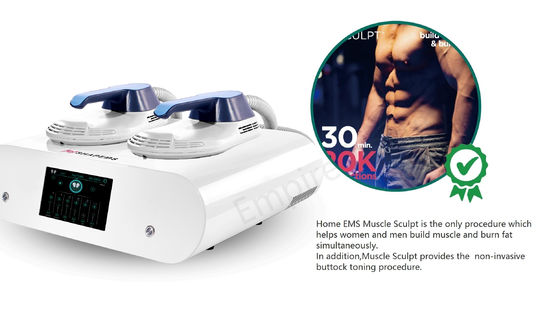 2 Rf Handles Portable Ems Body Sculpting Machine Emslim Mini Home Muscle Building Ems Abs Sculpt Device For Sale