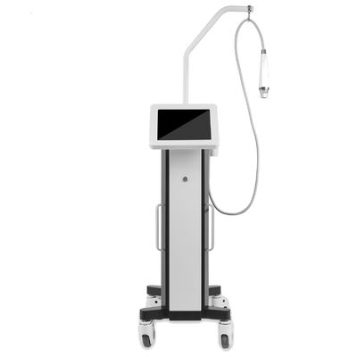 2019 New Upgraded 3 In 1 Secret RF Microneedling Fractional RF Radio Frequency With Needles Tip and Non Needles Tip