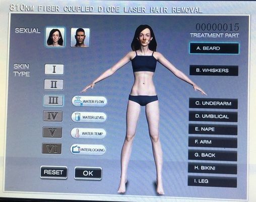 Vertial Fiber Coupled  Laser Hair Removal Laser 810nm Depilation 15HZ Fast Hair Reductioni