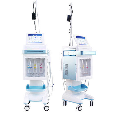 Water Dermabrasion Facial Machine /Vacuum Water Sucking Skin Deep Cleansing Facial Machine